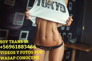 Mira mis videos  Gay, travestis, prostitutas en Providencia |  Cataleya 18 full anal y oral activa y pasiva wasapeame +56961883466  dpto sin conserje ven aho, Te lo mamo mejor k mina mira mis videos mios reales