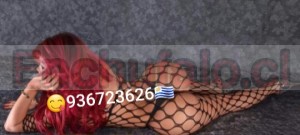 Lyly Gay, travestis, prostitutas en Antofagasta |  Trans escort internacional  dotadsmente muuuuuuuuuuuaklkkkkk xxxxxxx, Lechera para ti