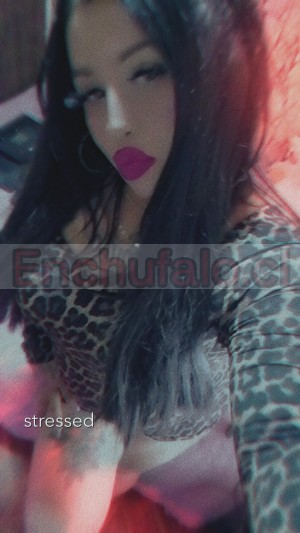 Bebbyy Gay, travestis, prostitutas en La Cisterna |  Webcam video llamada caliente jueguetes dildos squirt 10 mil, Juegos masturbacion completa gemidos squirt dildos final feliz x 10mil